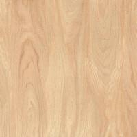 MULIA 50X50 CANARIUN BEIGE